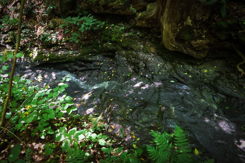 Shallow fast flowing stream along Onondaga Trail