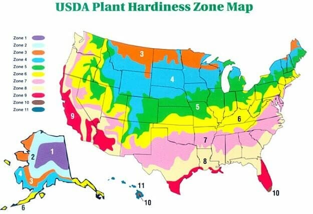 US plant hardiness zones