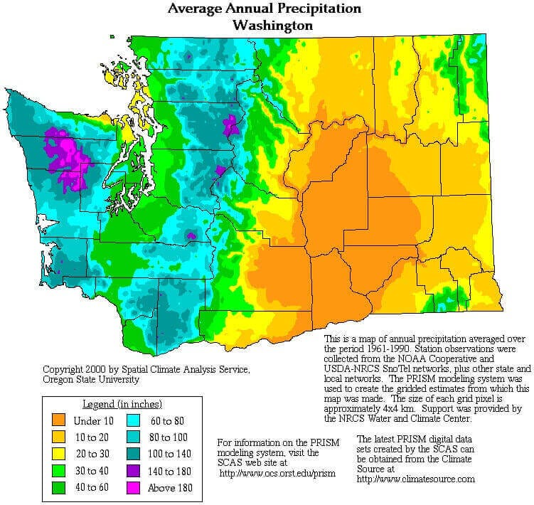 Washington State rainfall