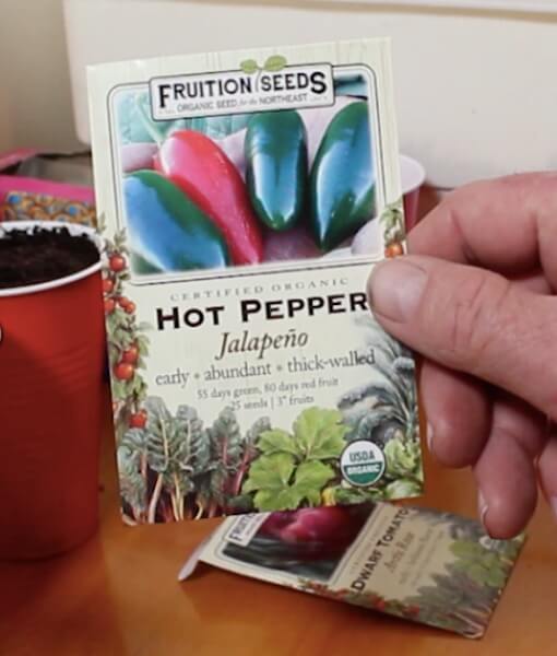 double-cup-method of planting seeds