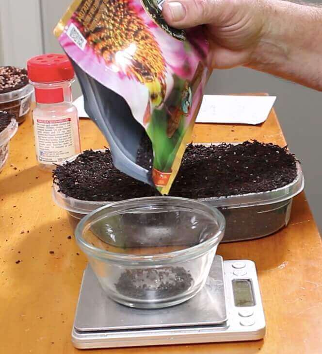 pouring seeds