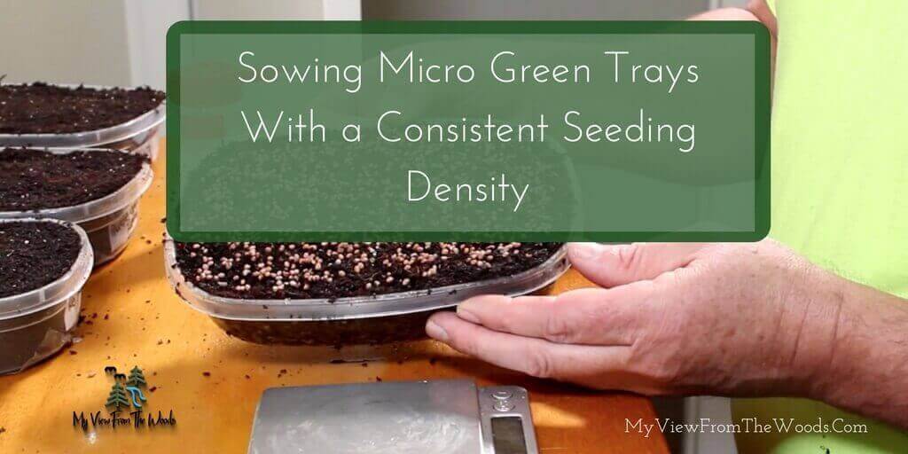 how to figure out seeding density for microgreens