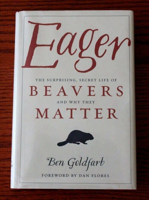 eager beaver book