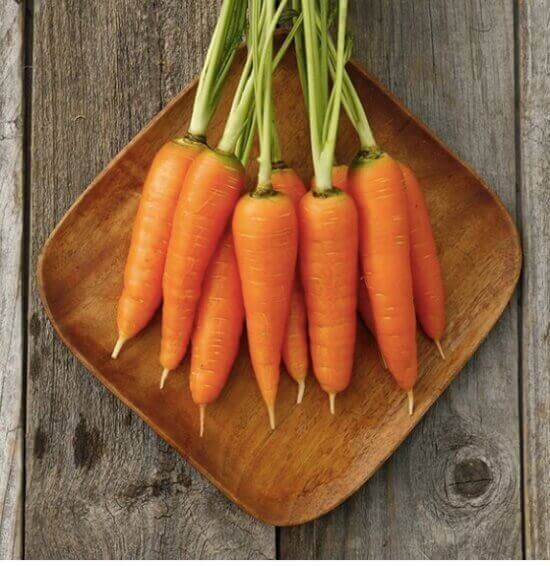 Heirloom Carrot Danvers 126