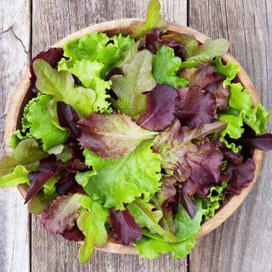salad mix lettuce seeds