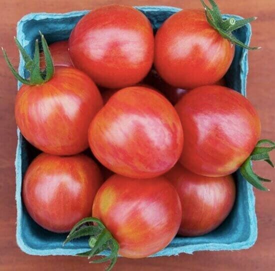 pink cherry tomatoes
