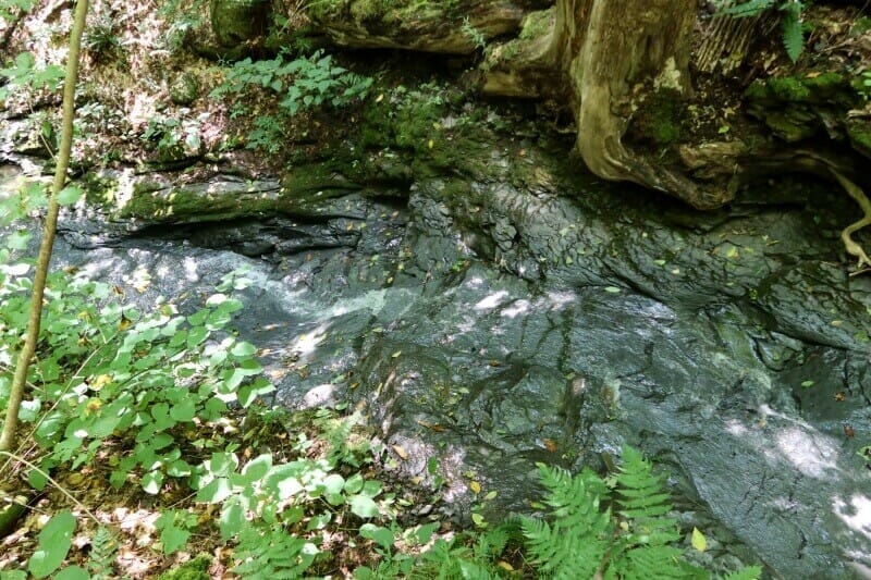 bedrock in stream on onondaga trail