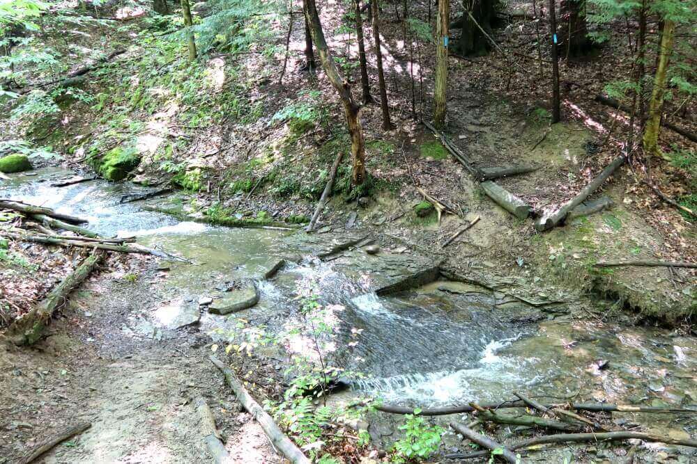 stream crossing on the onondaga trail