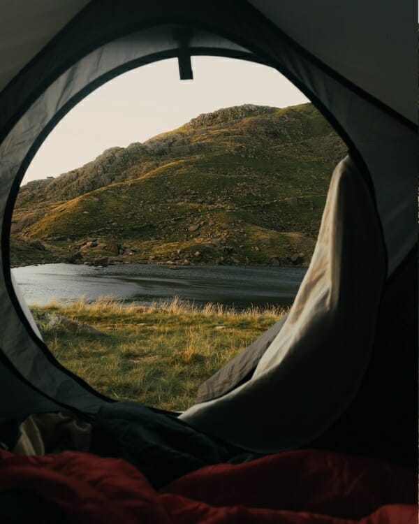 view from a tent while freedom camping