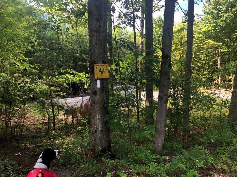 parking at potato hill state forest