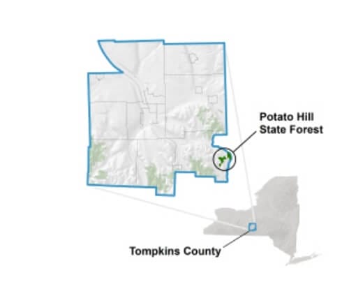 location of potato hill state forest